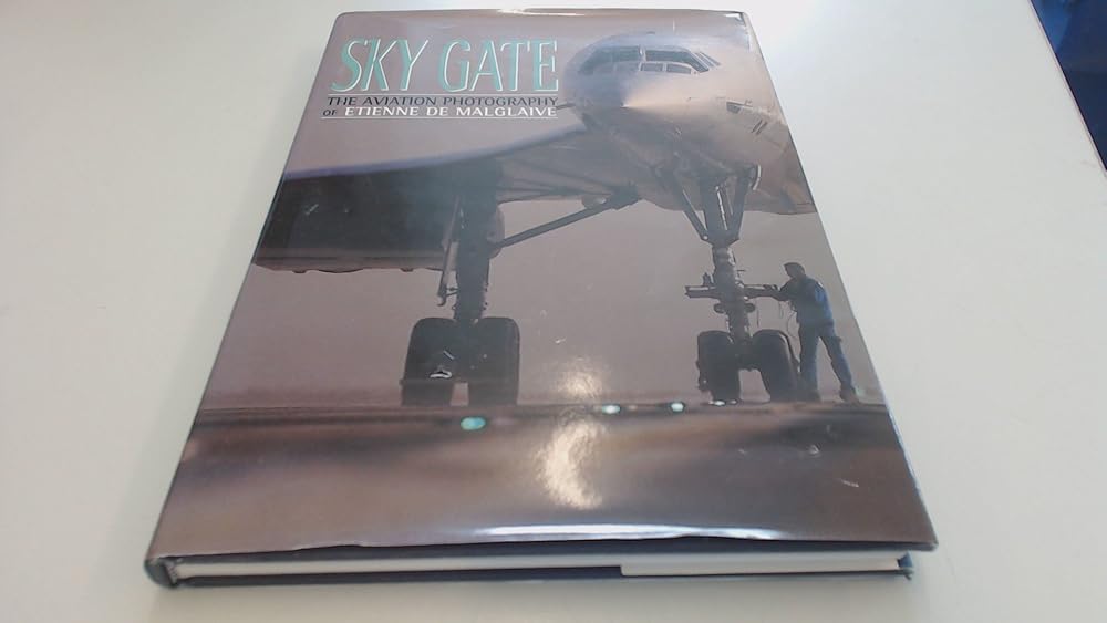 Skygate cover image